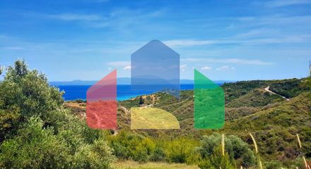 For Sale - Land 4000 m² in Kassandra, Chalkidiki
