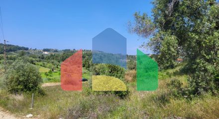 For Sale - Land 4000 m² in Kassandra, Chalkidiki