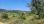 For Sale - Land 4000 m² in Kassandra, Chalkidiki