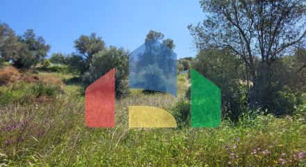 For Sale - Land 4000 m² in Kassandra, Chalkidiki