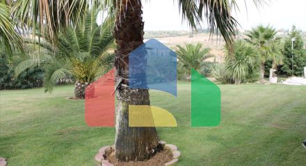 Продаж - Вілла 390 m² на Кассандрі (Халкідіки) Продаж - Вілла 390 m² на Кассандрі (Халкідіки)