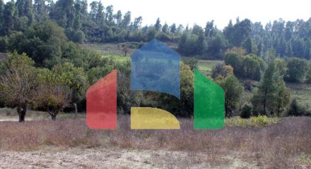 For Sale - Land 6750 m² in Kassandra, Chalkidiki