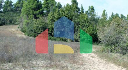 For Sale - Land 6750 m² in Kassandra, Chalkidiki