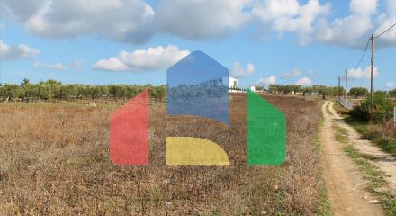 Продаж - Земельна ділянка 4000 m² на Кассандрі (Халкідіки)