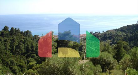 For Sale - Land 4465 m² in Kassandra, Chalkidiki