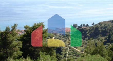 For Sale - Land 4465 m² in Kassandra, Chalkidiki