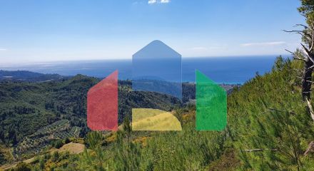 For Sale - Land 12000 m² in Kassandra, Chalkidiki
