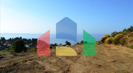 For Sale - Land 4650 m² in Kassandra, Chalkidiki