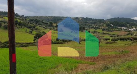 Продажа - Земельный участок 6000 m² на Кассандре (Халкидики)