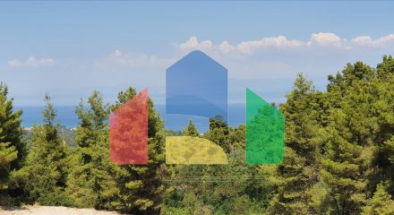 Продаж - Земельна ділянка 16000 m² на Кассандрі (Халкідіки)