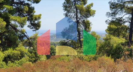 Продаж - Земельна ділянка 16000 m² на Кассандрі (Халкідіки)