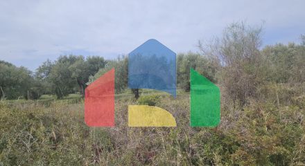 Продажа - Земельный участок 5100 m² на Кассандре (Халкидики)