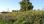 For Sale - Land 2500 m² in Kassandra, Chalkidiki