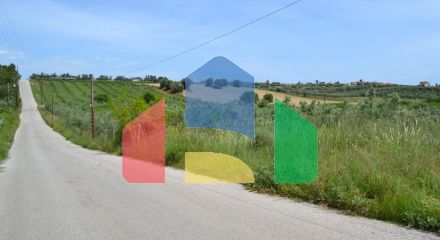 For Sale - Land 4600 m² in Kassandra, Chalkidiki