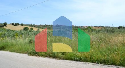 For Sale - Land 4600 m² in Kassandra, Chalkidiki