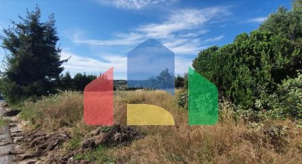 Продаж - Земельна ділянка 8962 m² на Кассандрі (Халкідіки)
