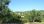 For Sale - Land 4500 m² in Kassandra, Chalkidiki
