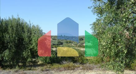 For Sale - Land 4500 m² in Kassandra, Chalkidiki