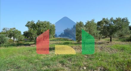 For Sale - Land 4500 m² in Kassandra, Chalkidiki