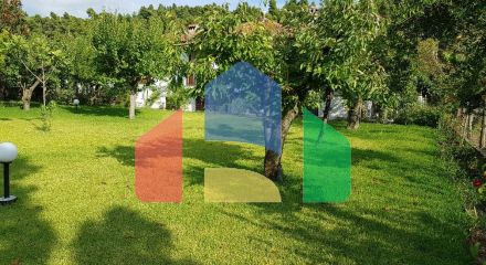 Продаж - Котедж 305 m² на Кассандрі (Халкідіки)