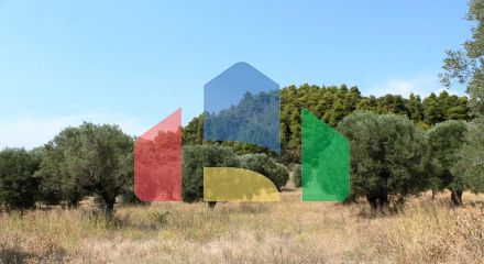 Продаж - Земельна ділянка 5000 m² на Кассандрі (Халкідіки)