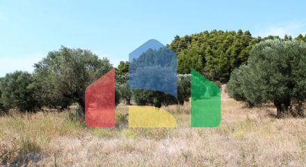 Продаж - Земельна ділянка 5000 m² на Кассандрі (Халкідіки)