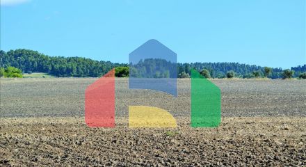 Продажа - Земельный участок 13000 m² на Кассандре (Халкидики)