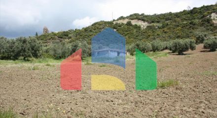 For Sale - Land 4700 m² in Kassandra, Chalkidiki