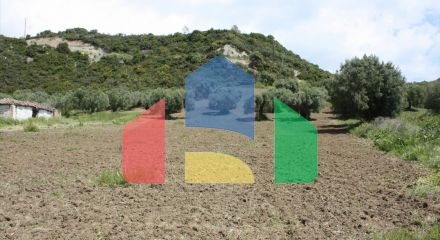 For Sale - Land 4700 m² in Kassandra, Chalkidiki