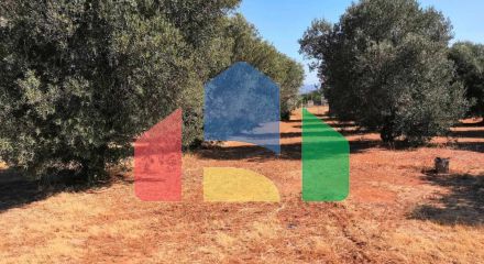 For Sale - Land 1091 m² in Kassandra, Chalkidiki