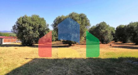 For Sale - Land 1091 m² in Kassandra, Chalkidiki