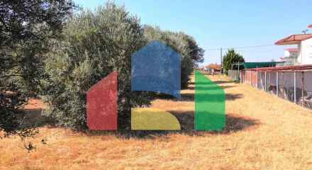 For Sale - Land 1091 m² in Kassandra, Chalkidiki
