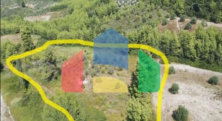 Продажа - Земельный участок 11046 m² на Кассандре (Халкидики)