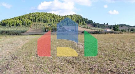 Продаж - Земельна ділянка 7500 m² на Кассандрі (Халкідіки)