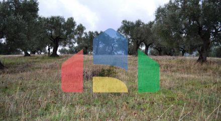 For Sale - Land 4200 m² in Kassandra, Chalkidiki