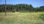 For Sale - Land 18000 m² in Kassandra, Chalkidiki