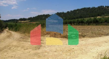 For Sale - Land 4385 m² in Kassandra, Chalkidiki