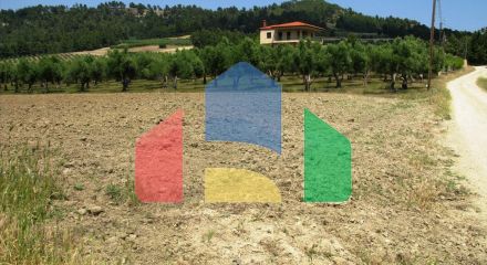 For Sale - Land 4385 m² in Kassandra, Chalkidiki