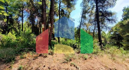 For Sale - Land 3025 m² in Kassandra, Chalkidiki