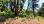 For Sale - Land 3025 m² in Kassandra, Chalkidiki
