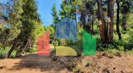 For Sale - Land 3025 m² in Kassandra, Chalkidiki