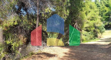 For Sale - Land 3025 m² in Kassandra, Chalkidiki