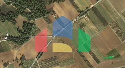 Продажа - Земельный участок 9880 m² на Кассандре (Халкидики)