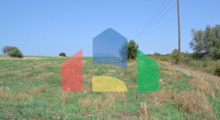 Продажа - Земельный участок 6000 m² на Кассандре (Халкидики)