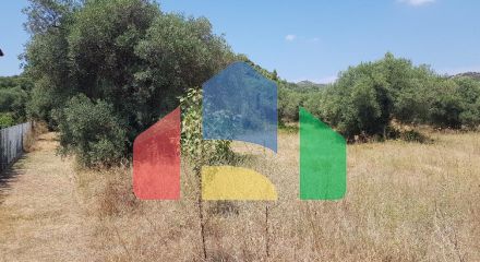For Sale - Land 20000 m² in Kassandra, Chalkidiki