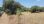 For Sale - Land 20000 m² in Kassandra, Chalkidiki