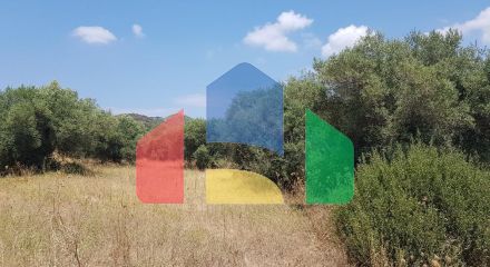 For Sale - Land 20000 m² in Kassandra, Chalkidiki