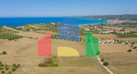 Продажа - Земельный участок 9900 m² на Кассандре (Халкидики)