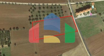 Продажа - Земельный участок 9900 m² на Кассандре (Халкидики)