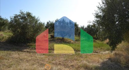 For Sale - Land 6500 m² in Kassandra, Chalkidiki